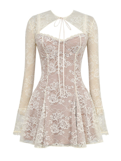 Alice Lace Mini Dress