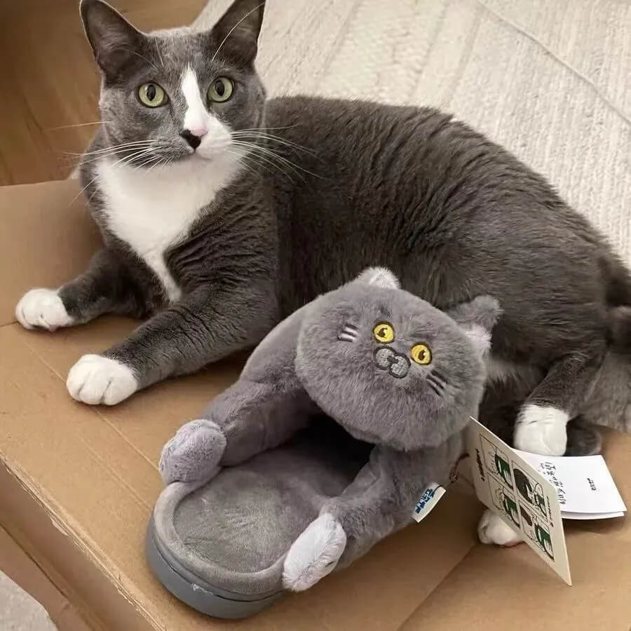 Cat Slippers-Luxandluxy