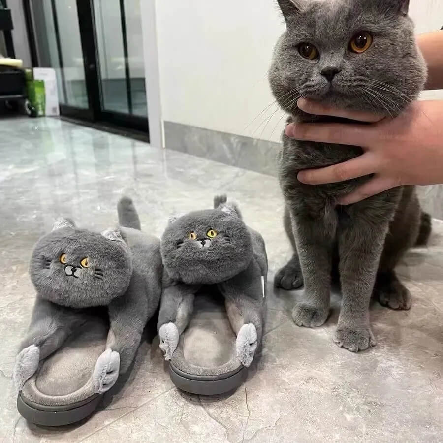 Cat Slippers-Luxandluxy