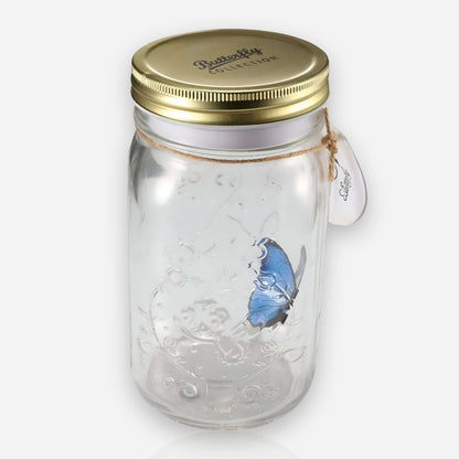 Flying Butterfly Jar-Luxandluxy