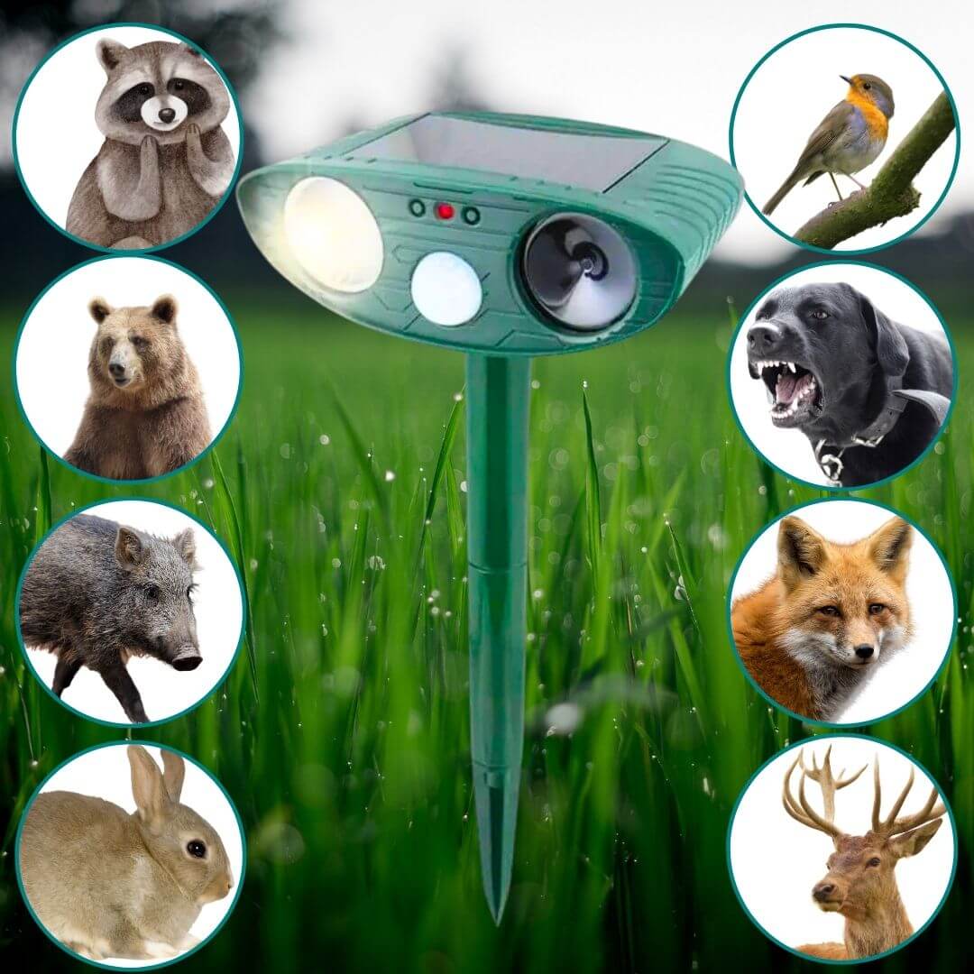 Solar Powered Animal Pest Repeller-Luxandluxy