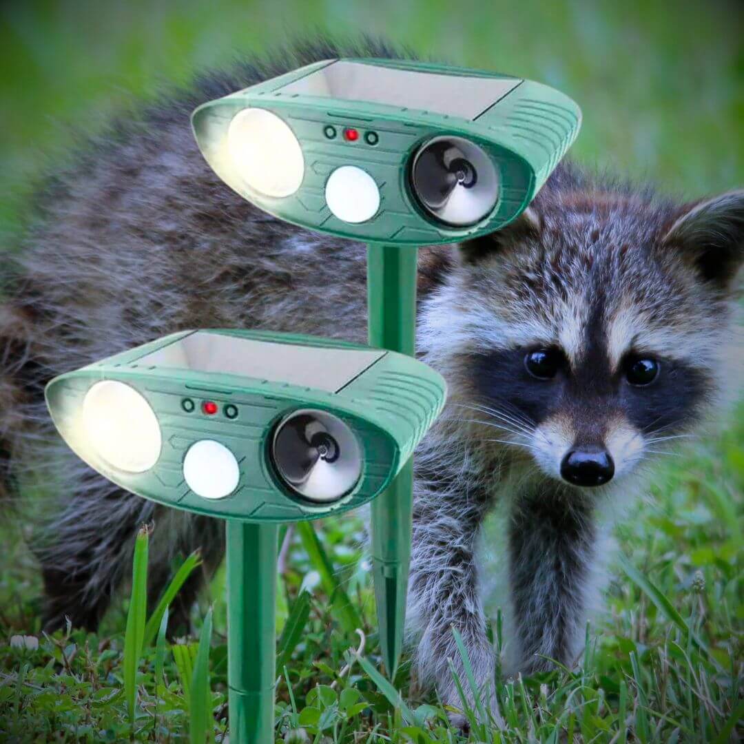 Ultrasonic Racoon Repeller-Luxandluxy