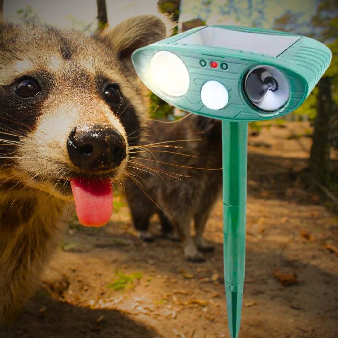 Ultrasonic Racoon Repeller-Luxandluxy